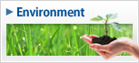 Environment
